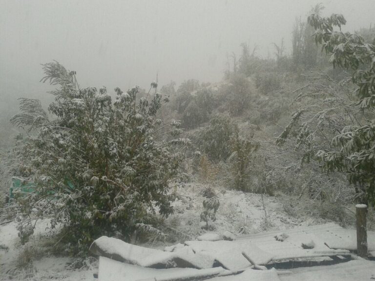 Una fuerte nevazón se registró en la IV Región