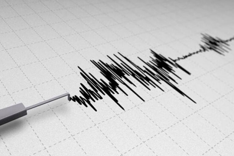 ONG llamó a políticos a publicar su declaración de impuestos, sólo 11 lo hicieron