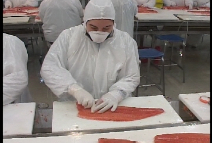 Suspenden envío de salmón a Estados Unidos por presencia de químico 