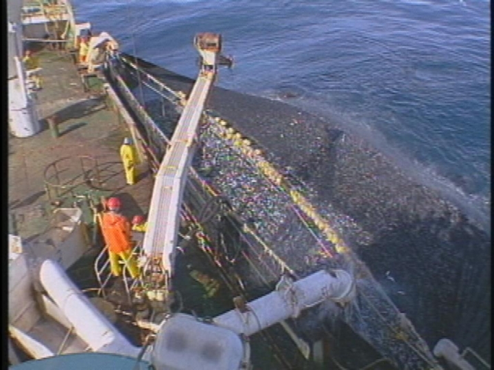 Senado suspendió hasta este martes la votación de la Ley de Pesca