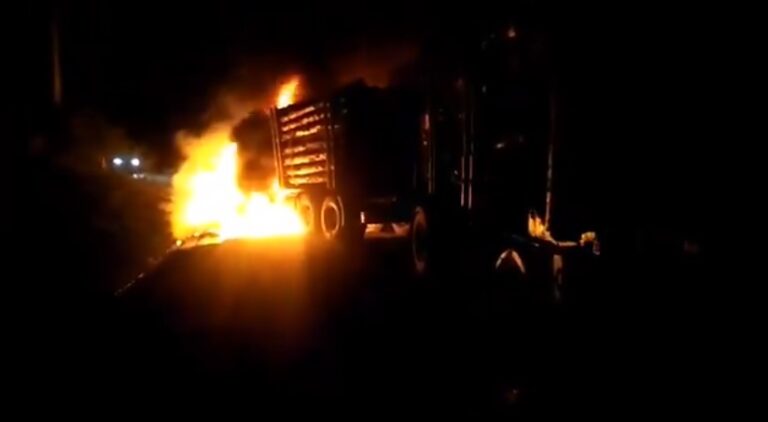 Registran ataque incendiario en el Parque Nacional Nahuelbuta