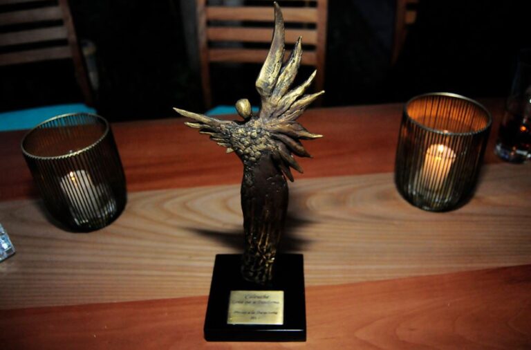 Premios Caleuche 2021: Conoce a todos los ganadores de la categoría cine