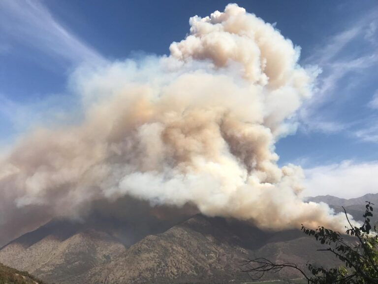 Incendio forestal de gran magnitud se produce en San José de Maipo