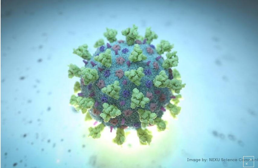 coronavirus-imagen.png