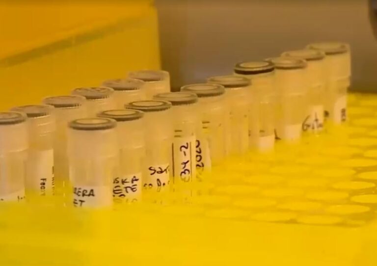 Sumar a contagiados asintomáticos: La nueva forma de contar casos de coronavirus