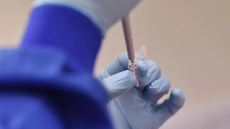 Buenos resultados de vacuna en Rusia: Todos los voluntarios desarrollaron inmunidad al COVID-19