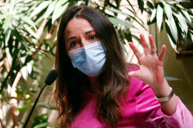 Primarias: Pdta. de la Comisión de Gobierno de la Cámara citó al Servel por quienes no pudieron votar