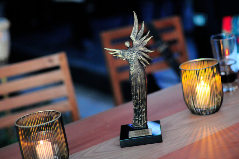 Premios Caleuche 2021: Conoce quiénes fueron destacados en la categoría series