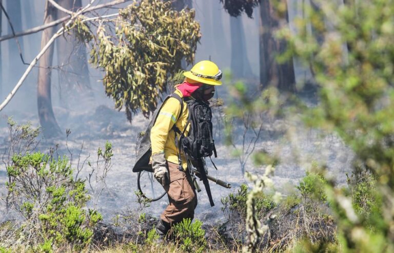 CONAF presenta plan contra incendios forestales en la RM y prevé una temporada compleja