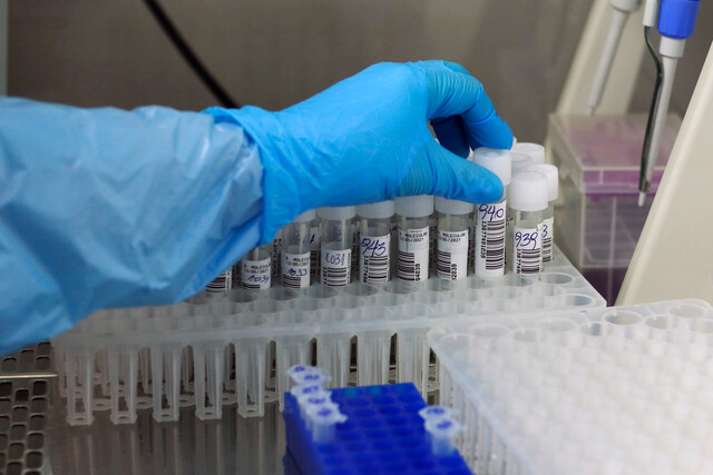 Minsal reportó menos de mil casos nuevos de COVID-19 por segundo día consecutivo