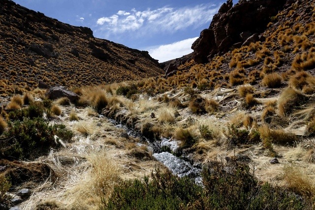 Lluvias y calor, la mezcla que favoreció la formación de cobre en Chile
