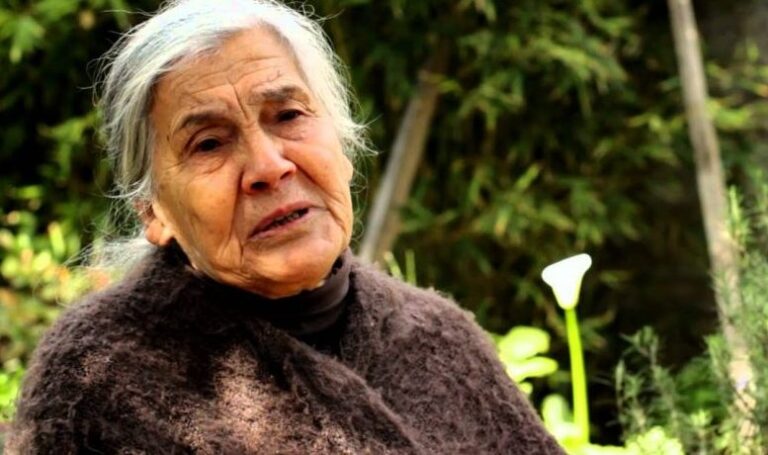 Luisa Toledo, madre de los hermanos Vergara Toledo, falleció tras una larga enfermedad