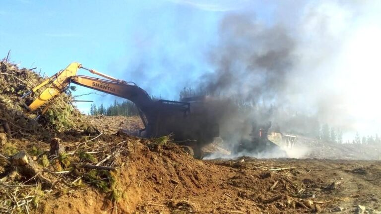 Corporación de la Madera denuncia ataques incendiarios en Curanilahue