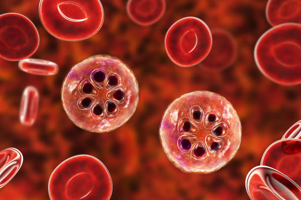 BioNTech producirá una vacuna con tecnología ARNm para combatir la malaria