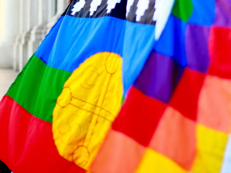 Diccionarios y otras herramientas gratuitas y en línea para aprender lenguas originarias de Chile