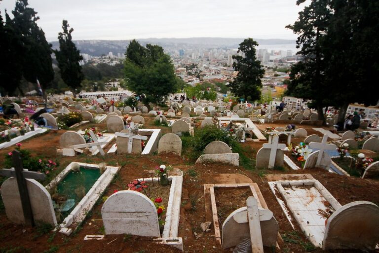 Denuncian hurto y exhumación de cadáveres en cementerio municipal de Viña del Mar