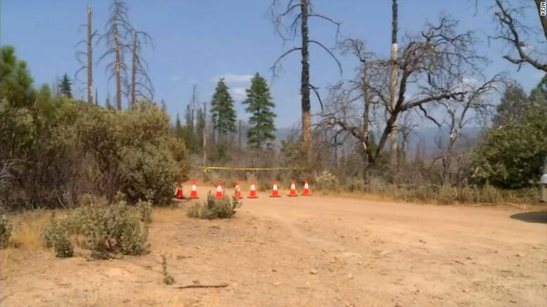 Investigan misteriosa muerte de una familia y su perro en ruta de senderismo en California