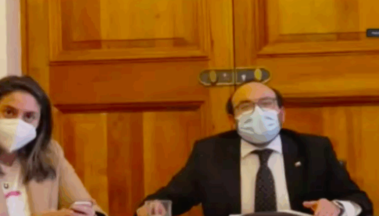 Subsecretario Pavez: 