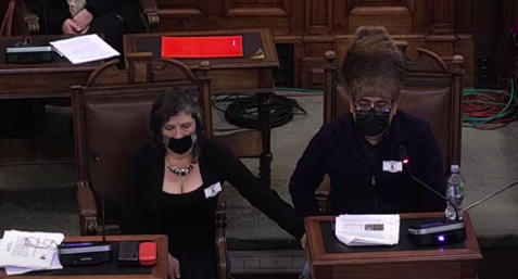 Representante Selk'nam en la CC: 