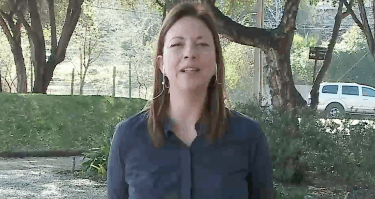 Presidenta del PPD y quiebre con el PRO: 