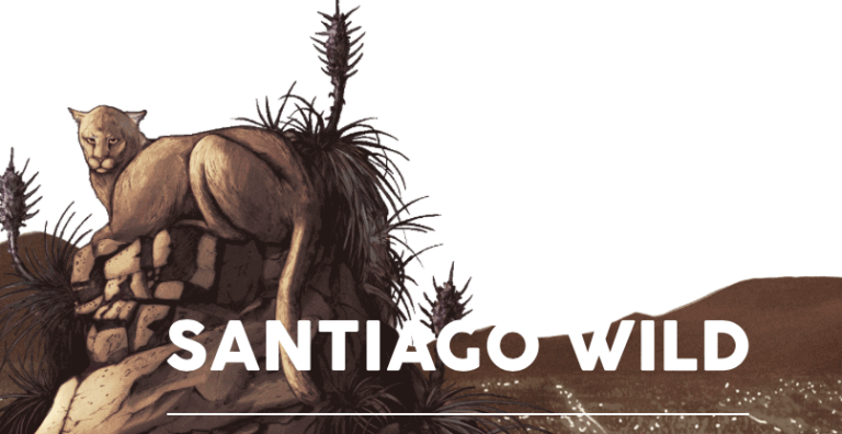 Festival Santiago Wild abrió inscripciones para ver documentales en competencia de forma gratuita