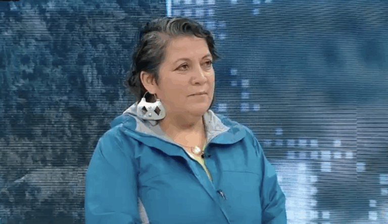 Soledad Mella (LDP) por candidatura de Ancalao: 