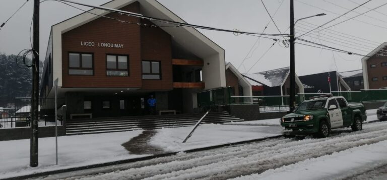 Balance ONEMI: Más de 3 mil personas aisladas en Lonquimay tras intensa nevazón