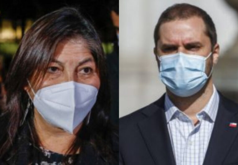 Ministro Bellolio insiste contra Elisa Loncón: 