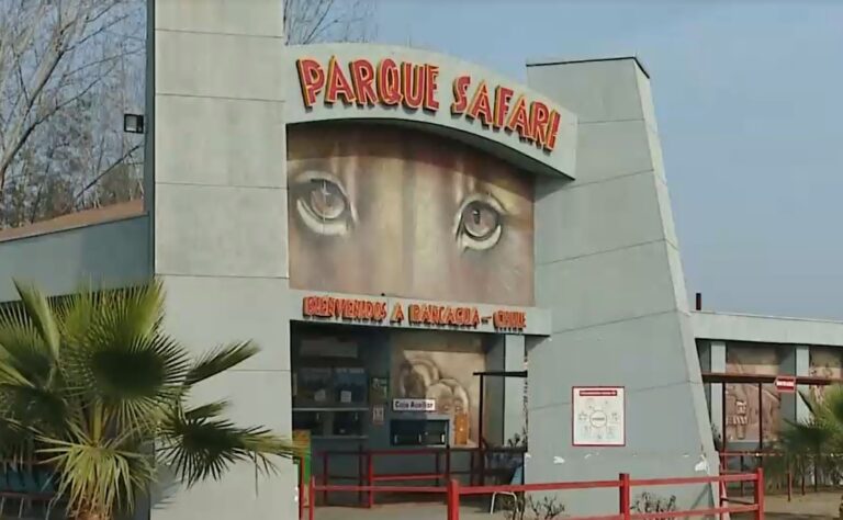 Las distintas versiones tras el fatal incidente en Parque Safari
