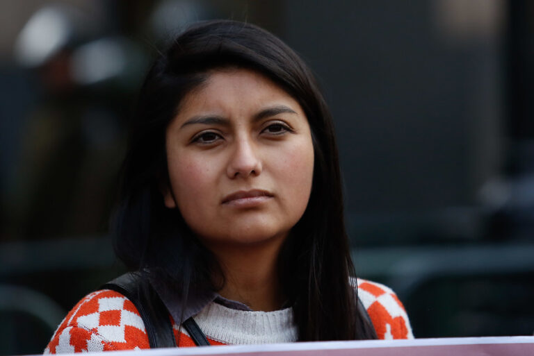 Diputada Rojas pidió que el subsecretario Pavez se retirara de la comisión de Mujer y Equidad de Género