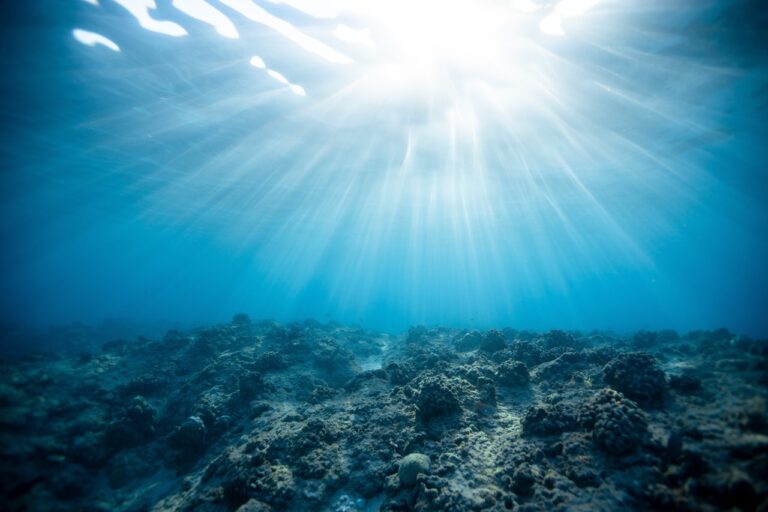 Minerales en el fondo marino: Desafíos y precauciones de una eventual minería submarina