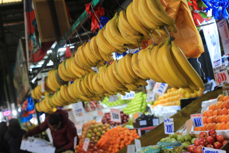 Cuatro recomendaciones básicas para hacer que las frutas y verduras duren más