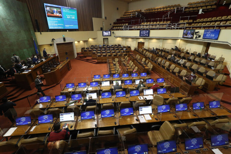 Caso Rojas Vade: Presentan reforma para que parlamentarios y constituyentes puedan renunciar por motivos personales