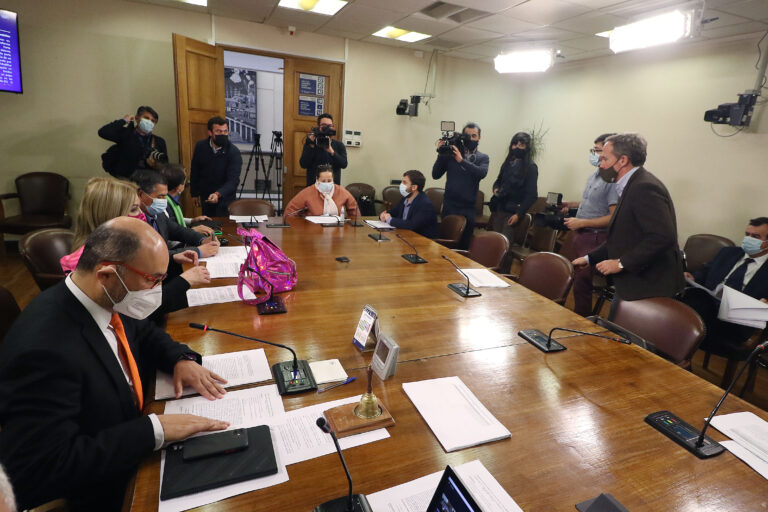 Comisión de Constitución de la Cámara aprobó en general el matrimonio igualitario