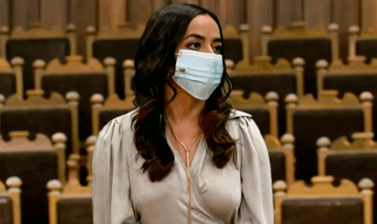 Convencional Ampuero respaldó dichos de Bassa: 