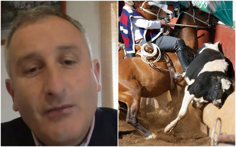 Ferochi y proyecto sobre rodeo: “Vemos gente radicalizada que busca cambiar, entre otras cosas, el nombre del país