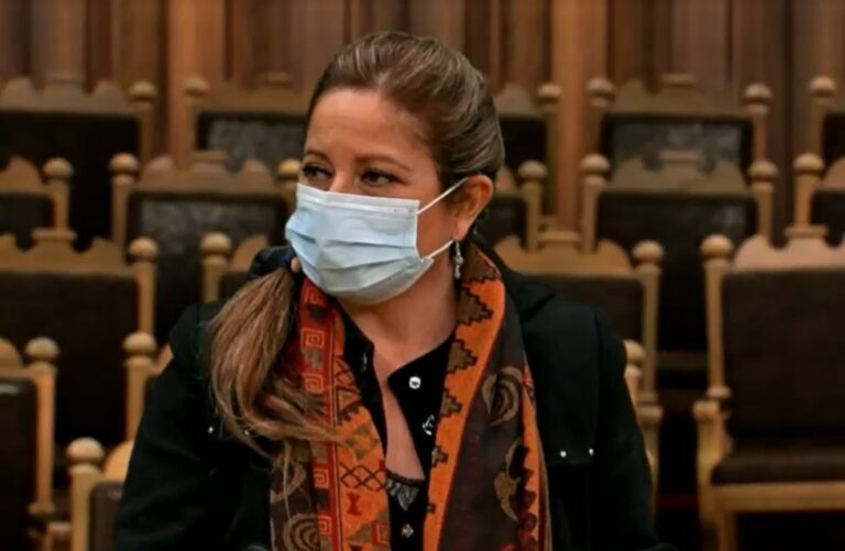 “No le hicimos el mismo juicio de castigo”: Convencional Godoy comparó los casos de Rojas Vade y de Logan