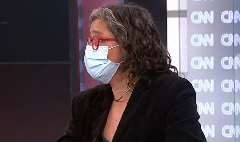 Pardo por equipo de campaña de Provoste: 