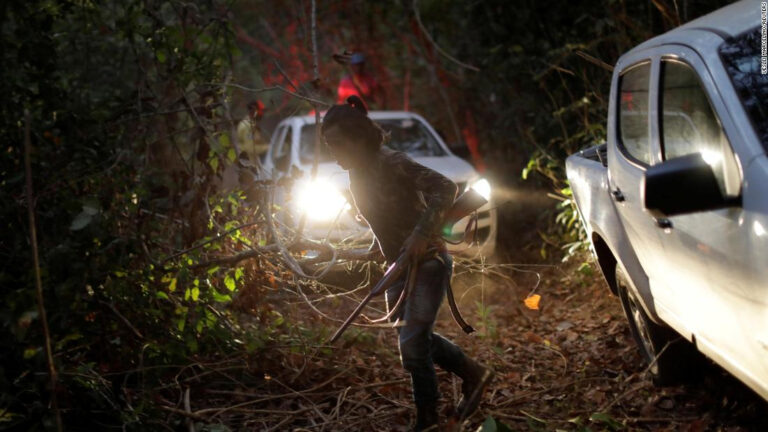 227 personas murieron en el mundo defendiendo el medio ambiente en 2020: Colombia fue el país más afectado