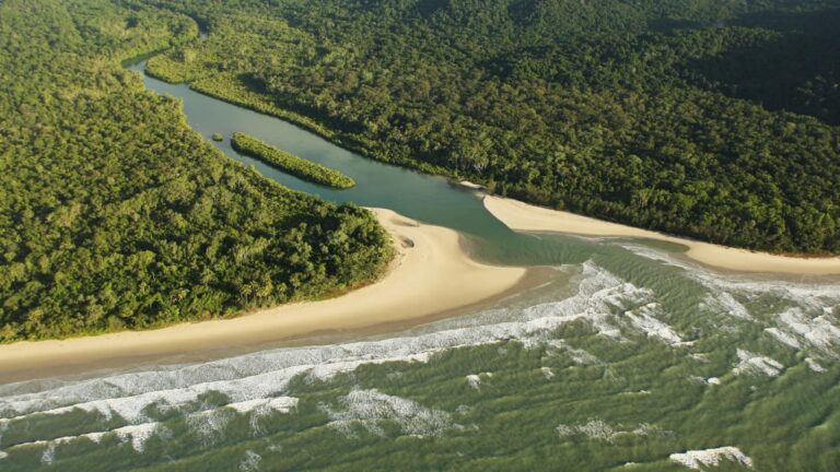 Histórico acuerdo: Australia devuelve la selva tropical más antigua del mundo a los aborígenes