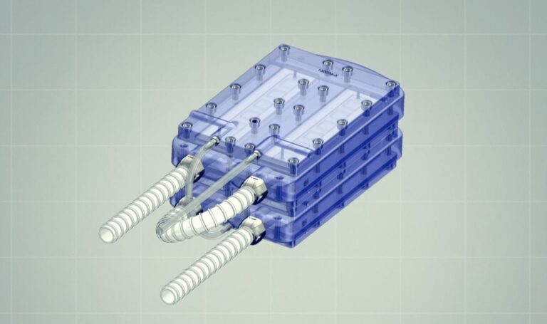 Prueban con éxito el prototipo de un riñón bioartificial implantable: Reemplazaría las molestas diálisis