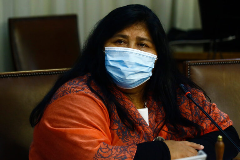 Diputada Nuyado se declara en reflexión por presidenciales: Evaluará propuestas al pueblo indígena