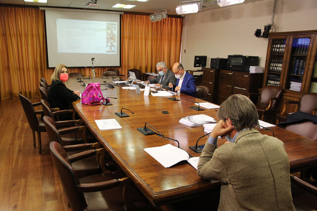 Comisión de Constitución de la Cámara aprobó en particular el proyecto de matrimonio igualitario