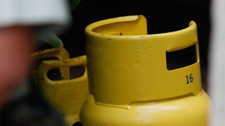 Cilindros de gas licuado: FNE recomendó al Ministerio de Energía implementar un sistema de trazabailidad