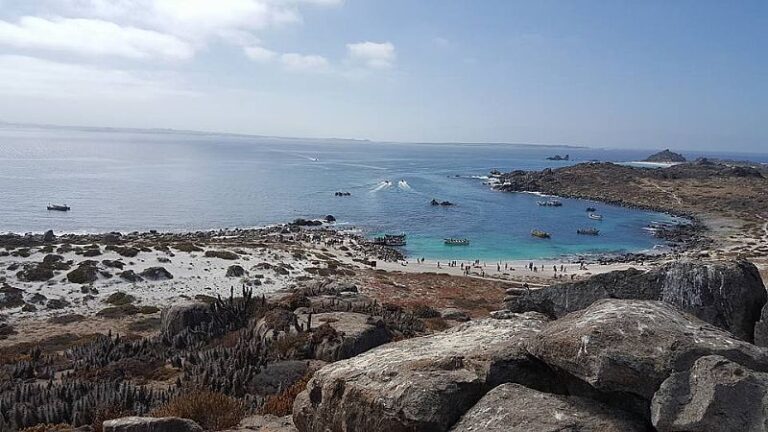 Ministerio de Medio Ambiente presentará propuesta de polígono que crea Área Marina Archipiélago de Humboldt