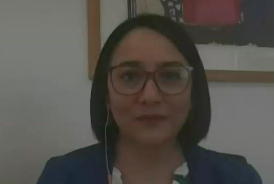 Directora nacional del INE y trabajos perdidos por la pandemia: 