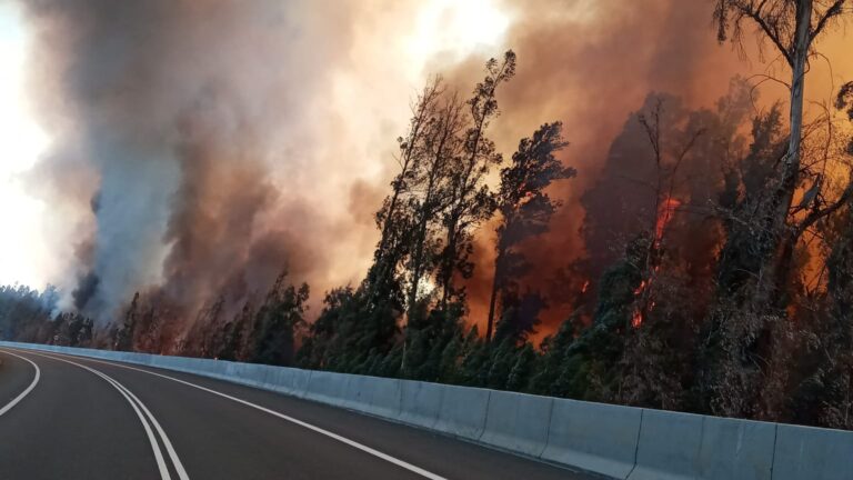 Onemi declara Alerta Amarilla para la comuna de Panquehue por incendio forestal