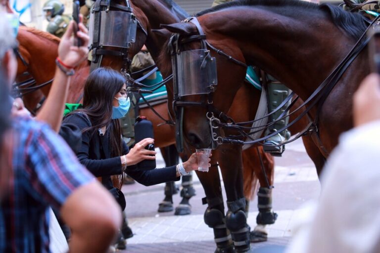 Colmevet manifestó su preocupación por uso de caballos en protestas por parte de Carabineros