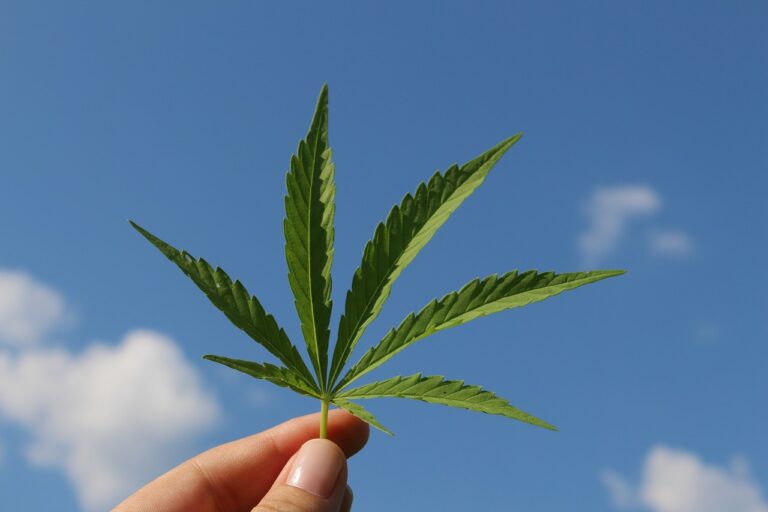 Luxemburgo se convertiría en el primer país europeo en legalizar la cannabis