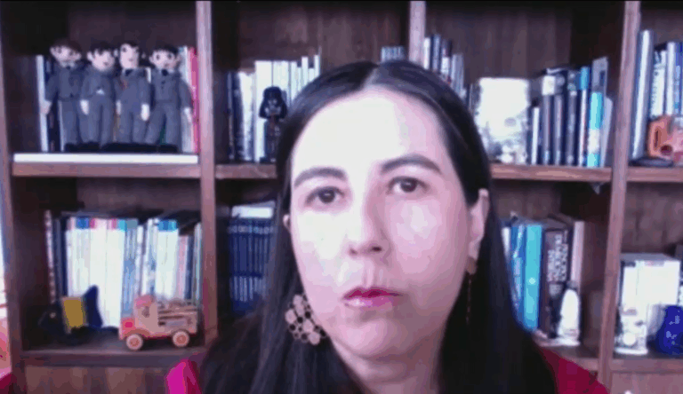 Dra. Vania Martínez sobre el acceso a salud mental en Chile: 